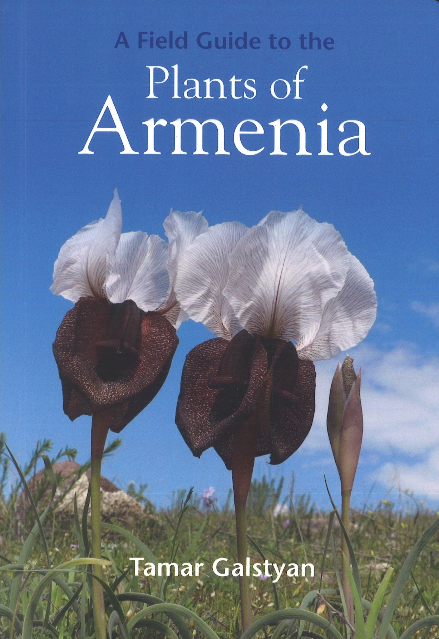 Field Guide to the Plants of Armenia, A