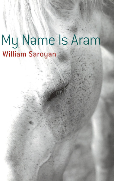 My Name is Aram