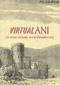 Virtual ANI