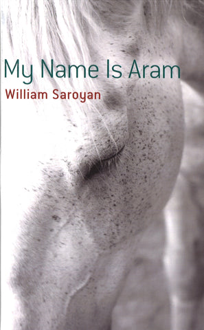 MY NAME IS ARAM